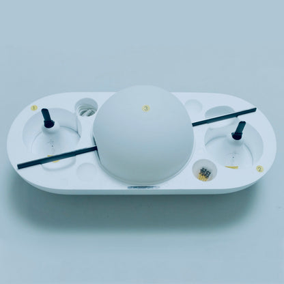 white rabbit